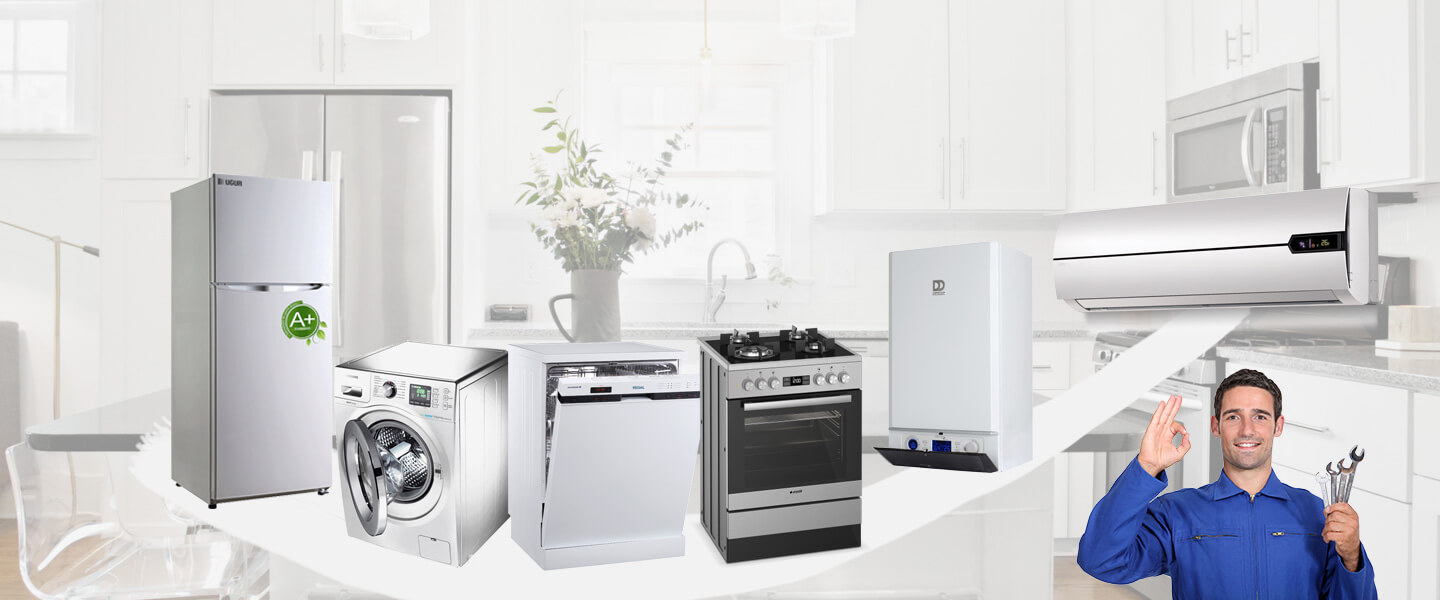 Demirci Electrolux Servisi